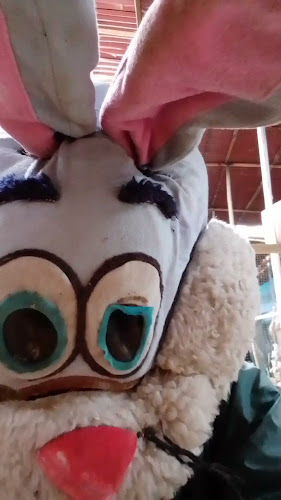 Opinii despre Mercado De Abastos în Sunampe - Gastronomía y hostelería