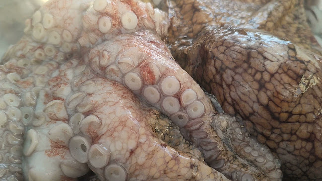 Opinii despre Puerto Escondido Pacasmayo în Pacasmayo - Gastronomía y hostelería