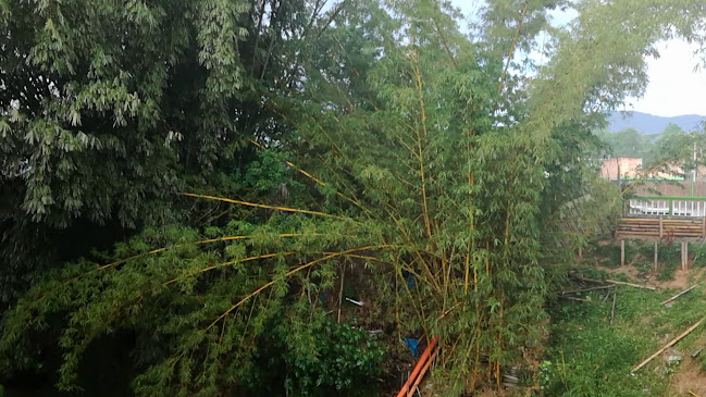 Comentarii opinii despre EL CANTARITO Y PUNTO