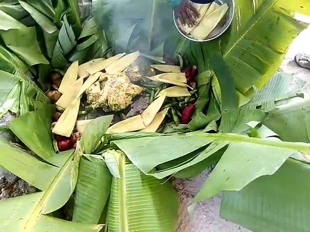 Opinii despre TORO MATA în Tingo María - Gastronomía y hostelería