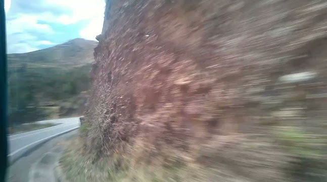 Comentarii opinii despre POLLERIA BEN-HUR