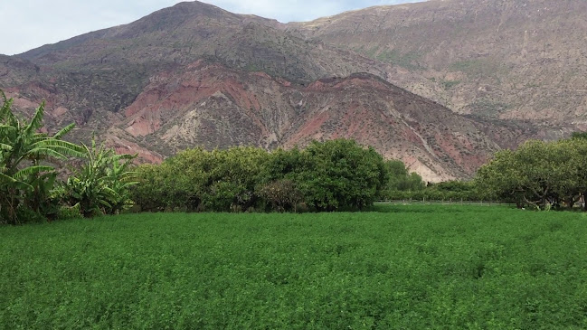 Opinii despre Recreo Campestre El Pionero. San Miguel De Mayocc în san miguel de mayocc - Gastronomía y hostelería