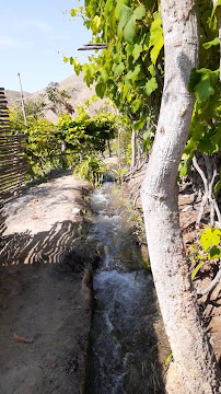 Opinii despre El Paraíso - Casa de Campo în Nuevo Imperial - Gastronomía y hostelería