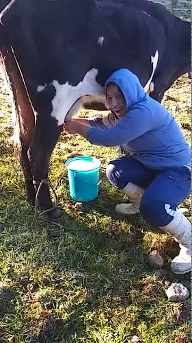 Opinii despre Mercado Cooperativa Elio în Lima - Gastronomía y hostelería