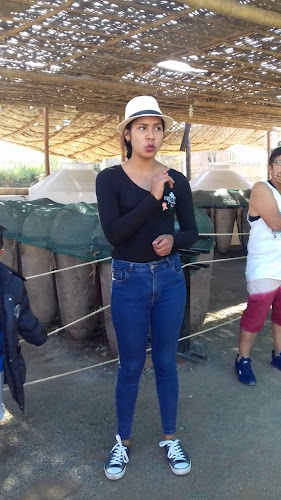 Casa Zambrano Rest Peña Criolla