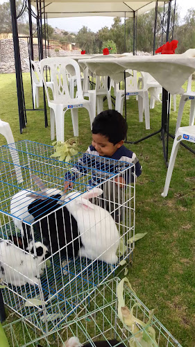 Los Andenes de Sabandía