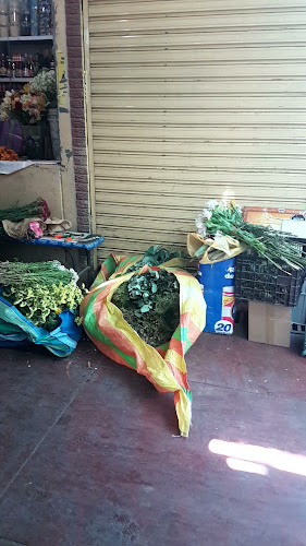 Comentarii opinii despre Mercado Total