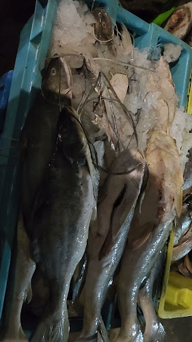 Terminal Pesquero VMT - Gastronomía y hostelería