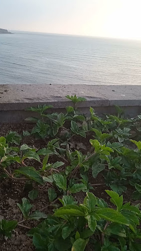 Saladero | Restaurante - Bar