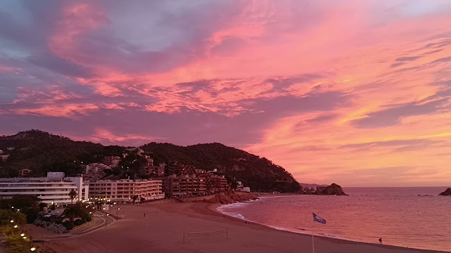 Opinii despre Hotel Victoria în Majes - Gastronomía y hostelería