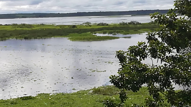 Opinii despre Dawn On The Amazon Café în Iquitos - Gastronomía y hostelería