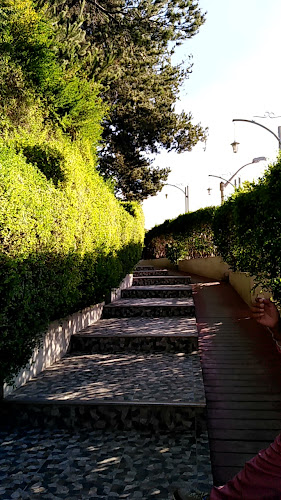 Opinii despre Quinta Candelaria în Juliaca - Gastronomía y hostelería