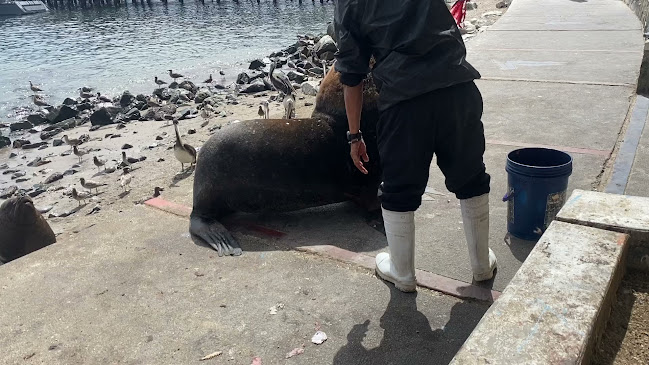 Jirón Moquegua 451, Ilo 18601