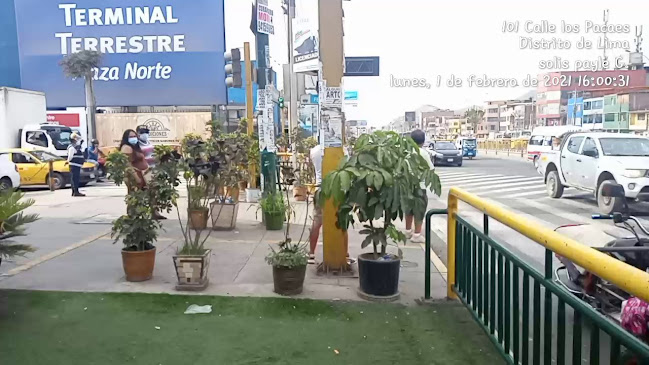 Mercado El Ermitaño - Independencia