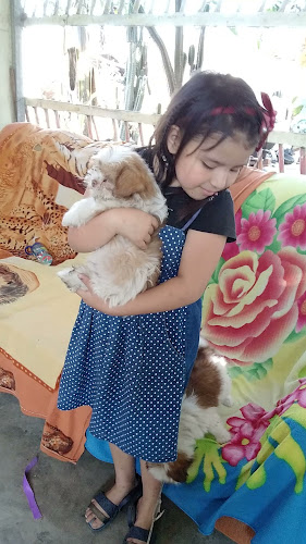 Frutas SHEDAY - Gastronomía y hostelería