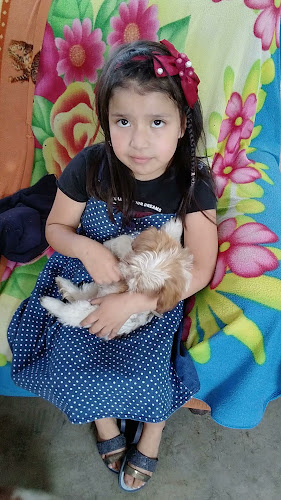 Entra del mercado, Chimbote 02801