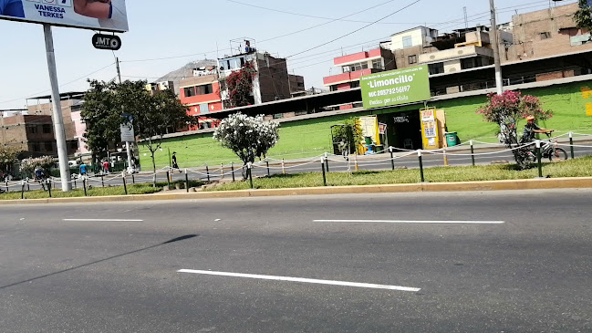 Mercado del Limoncillo