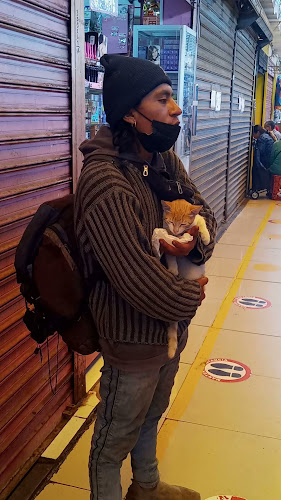 Opinii despre Mercado 21 de Abril în Chimbote - Gastronomía y hostelería