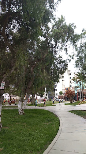 Santo Toribio de Mogrovejo 720, Víctor Larco Herrera 13008