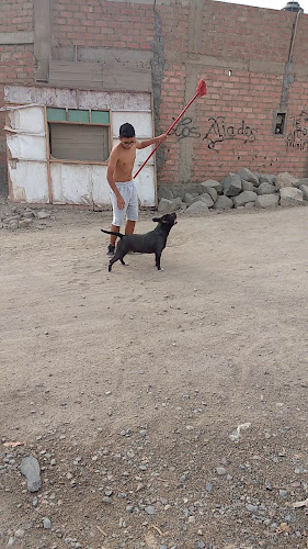 Rokys - Gastronomía y hostelería