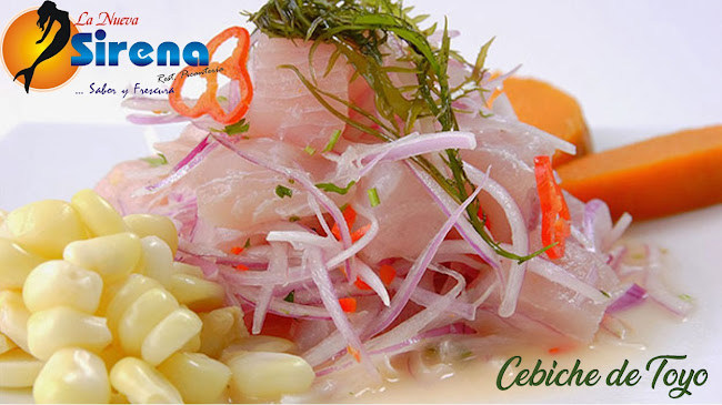 La Nueva Sirena Srl - José Leonardo Ortiz