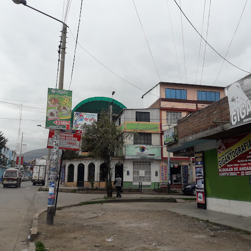 Exportación de paltas - Huancayo