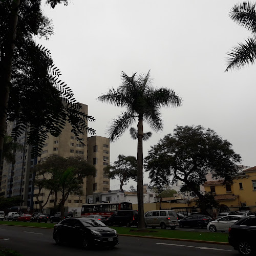 Opinii despre RINCON CERVECERO DEL TOBOGAN PARK în Nuevo Chimbote - Gastronomía y hostelería