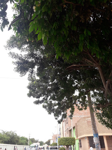 Davi's Pizza - Gastronomía y hostelería