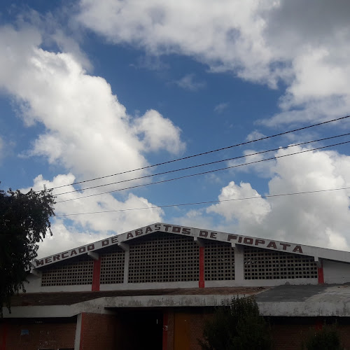 Mercado de Abastos de Pio Pata