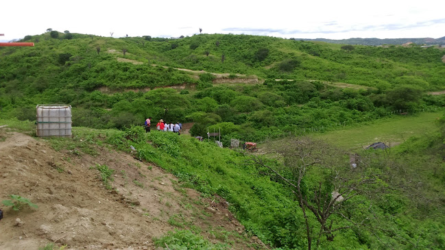 Restauran Pollería Paraiso Norteño - Gastronomía y hostelería