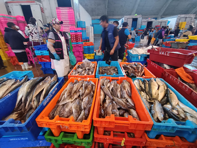 Comentarii opinii despre Terminal Pesquero VMT