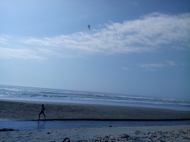 Hamburguesas "El Tío Noé" - Gastronomía y hostelería