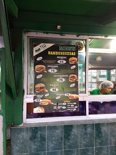 Teo Burger