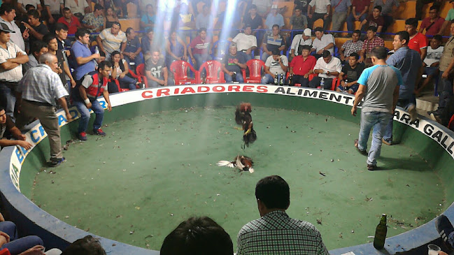 Opinii despre Yarinacocha în Jaén - Gastronomía y hostelería