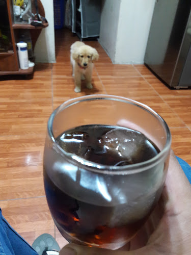 Comentarii opinii despre MI RICO PERU