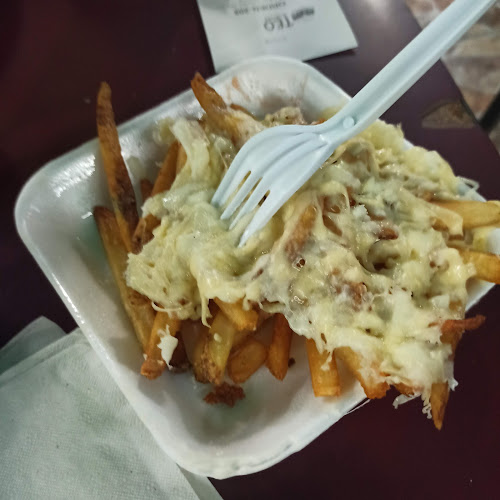 Comentarii opinii despre Teo Burger