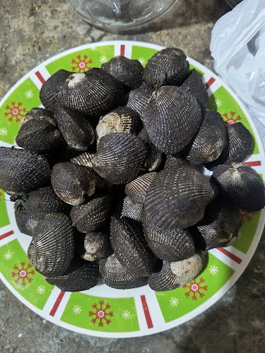 Nuevo Terminal Pesquero