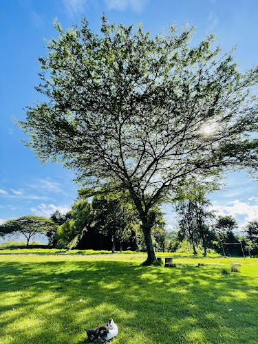 Opinii despre Local LOS PINOS în Cajabamba - Gastronomía y hostelería