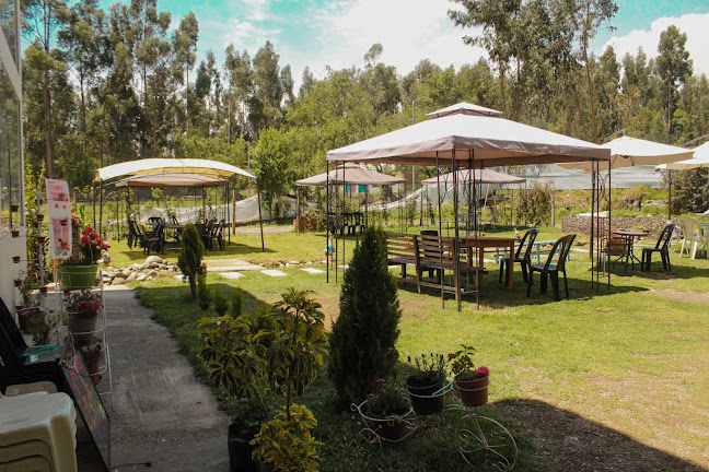 Valor Natural berries y miel - Concepción