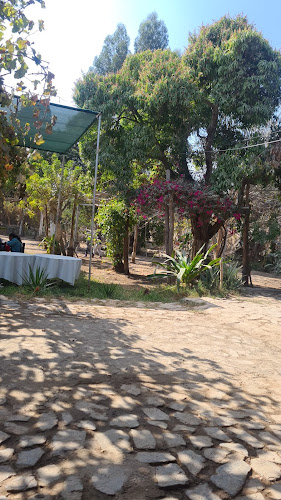 Comentarii opinii despre El Encanto de la Huerta