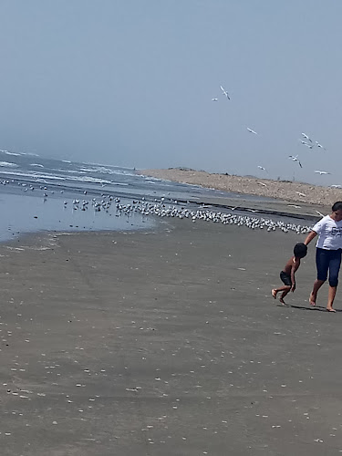 Hamburguesas "El Tío Noé"