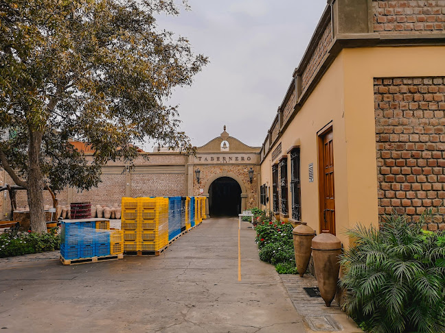 Bodegas y Viñedos Tabernero - Gastronomía y hostelería
