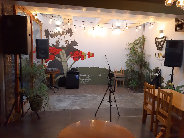 Comentarii opinii despre Coffee Luwak