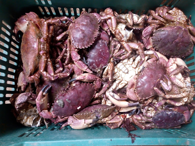 Comentarii opinii despre Cantarito Beach