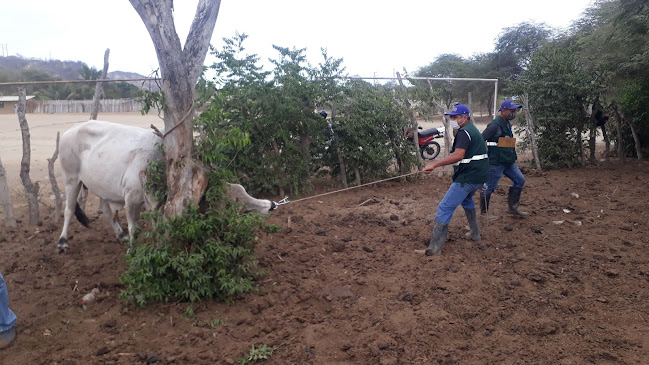 Carretera, Au. Panamericana Nte., 24500