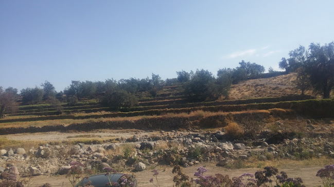 Comentarii opinii despre Los Andenes de Sabandía