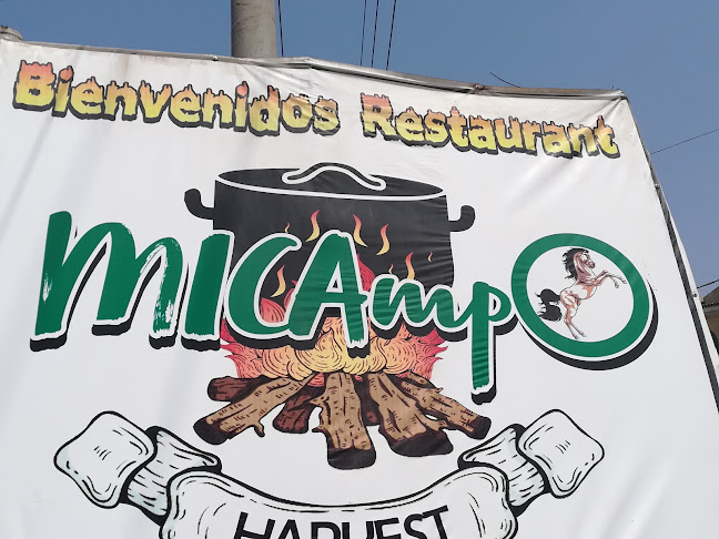 GQ7P+4GJ, Los Geranios, Huaral 15201