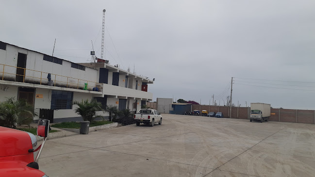 Opinii despre Procesadora Packing Maito S.A.C. în Chancay - Gastronomía y hostelería