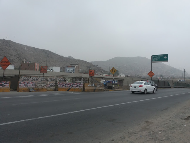 Comentarii opinii despre Distribuidora De Artika - Huachipa