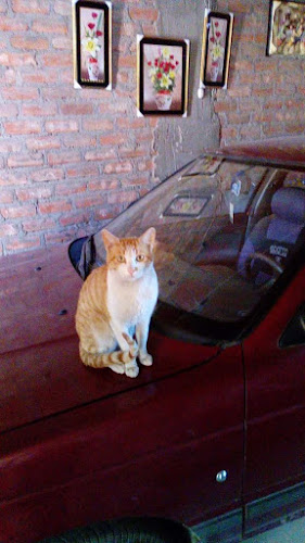 Mercado De Santa Rita De Siguas